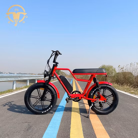 MTB Fat Tire 26*4,0 350W*2 Двойной мотор-концентратор Электрический велосипед