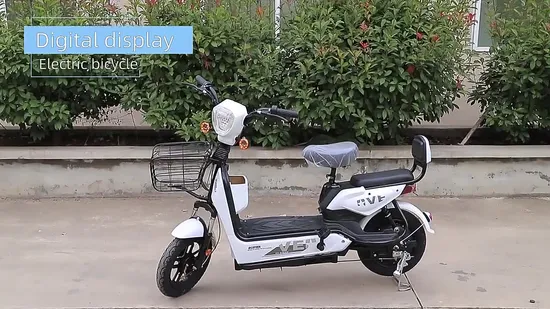 48V12A/20A 350W/500W новая модель для мужчин и женщин, электрический велосипед с толстыми шинами, электрический велосипед
